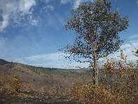 nte Fontane-201011128 045